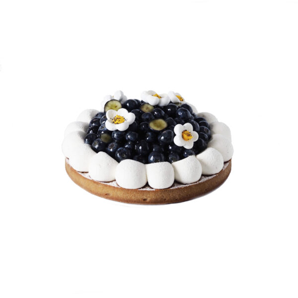 Tarte aux myrtilles